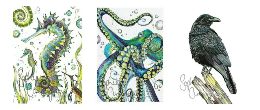 Sophie 蓝环章鱼插画